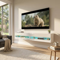 Vigo Floating TV Stand